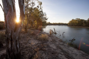 Neds Corner Station, Trust for Nature's largest conservation reserve (30,000 hectares), which is in northwest Victoria. Photo by Shannon Reddaway.