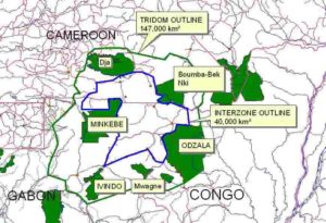 TRIDOM Landscape: Protected Areas Dja, Odzala & Minkebe