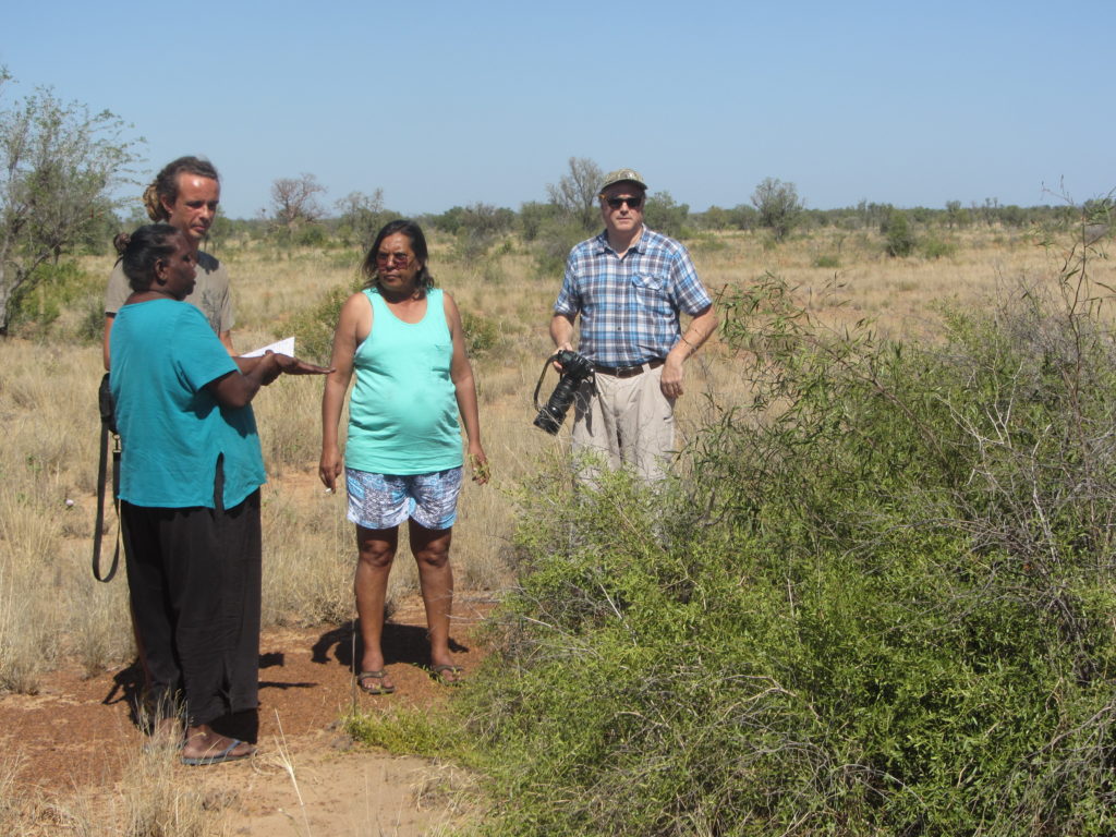 Australia DBD_bush foods Nykina mangala area