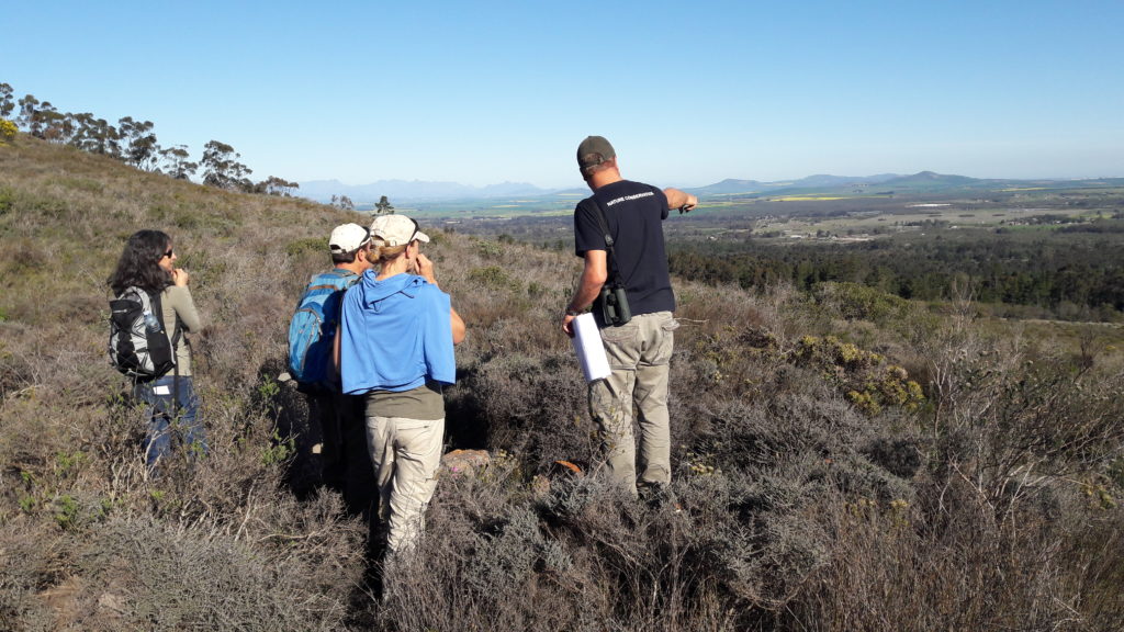 Cliff Dorse (City of Cape Town’s Biodiversity Management Branch, a partner for the DCCP) helps the workshop coaches get familiar with the landscape of the DCCP. Photo by Natalie Hayward. 