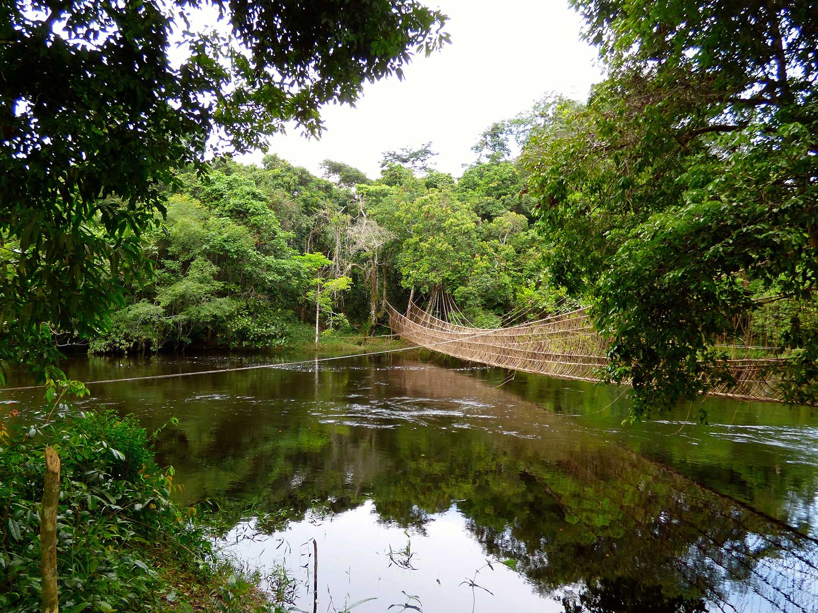 Ogooué-Leketi-NP-Congo-Detoeuf