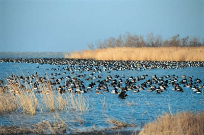 Tour du Valat Estate in the Camargue