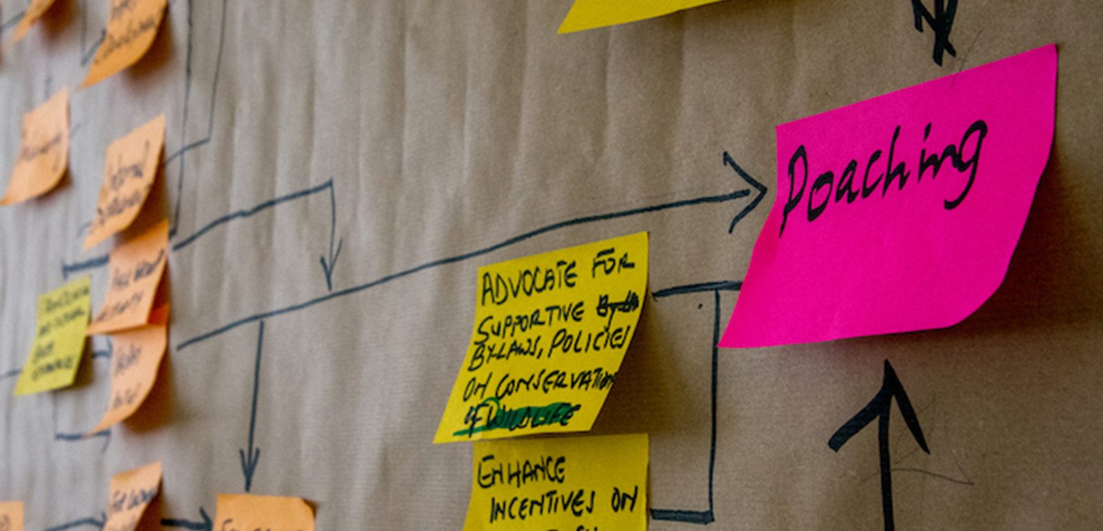 Workshop participants mapping a conceptual model with sticky notes